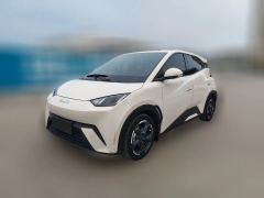 2024 BYD Seagull 2024 Glory 305KM freeEdition #1