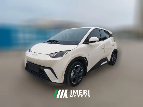 2024 BYD Seagull 2024 Glory 305KM freeEdition