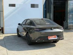 2024 Chang'an Yida 2023 Blue WhaleNE 1.5T AT GDI DCTPleasure #9