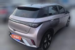 2021 BYD Dolphin 2021 401km knightEdition #3
