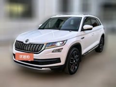 2020 Škoda Kodiaq 2020 2.0T AT TSI330 5Seat2WDLuxuryPremium #1