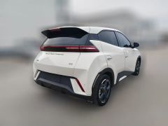 2024 BYD Seagull 2024 Glory 305KM freeEdition #5