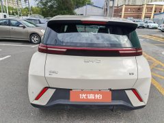 2025 BYD Seagull 2024 Glory 305km vitalityEdition #8