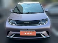 2024 BYD Dolphin 2024 Glory 420km Fashion #2