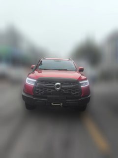 2022 Great Wall Great Wall Pao 2020 2.0TOff-roadATDiesel4WDAdvancedEditionGW4D20M #2