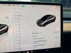 2022 Tesla Model 3 2022 rear wheel driveEdition #18
