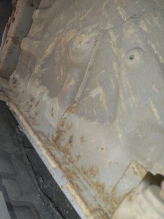 Spare Tire Well (Trunk Floor)