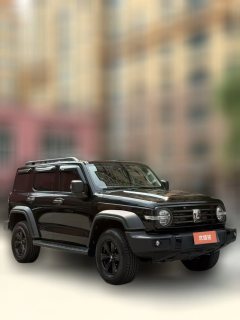 2023 Tank 300 2023 Off-road 2.0T AT conqueror #3