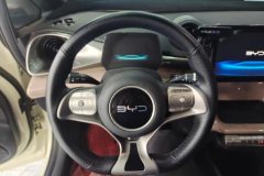 2024 BYD Dolphin 2025 420km vitalityEdition #15
