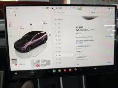 2025 Tesla Model Y L 2025 Long Range AWD Edition #8