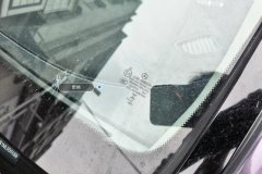 Windshield