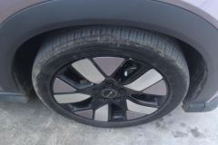 2021 BYD Dolphin 2021 401km knightEdition #6