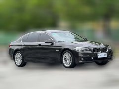 2016 BMW 5 Series 2014 2.0T AT 525LiLuxuryDesign Pkg #3