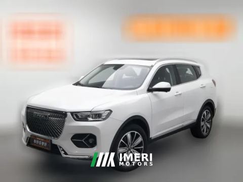 2021 Haval H6 2021 2.0T AT ChampionGDI