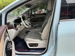 2023 Dongfeng Fengxing Fengxing Youting 2022 1.5T AT DCTChasing the windEdition #5
