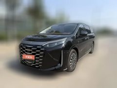 2025 BYD Xia 2025 DM-i 1.5T AT 180km Surpass #1