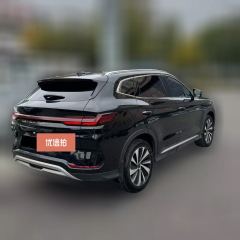 2024 BYD Song Plus New Energy 2023 Champion 1.5L AT DM-i 150KM FlagshipPLUS #3