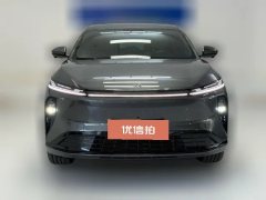 2025 Dongfeng Fengshen Dongfeng Fengshen L8 2025 185KMdreamEdition #2
