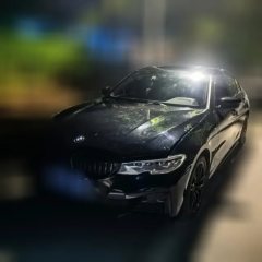 2019 BMW 3 Series 2020 2.0T AT 325Li MM Sport Shadow #1