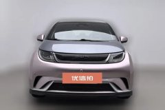 2024 BYD Dolphin 2025 520km knightEdition #3