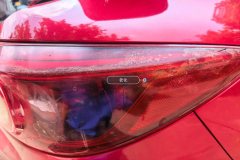 Right Rear Taillight Assembly