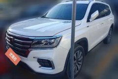 2023 Roewe RX8 2019 2.0T AT 30TSupergroupFlagshipRWD #1