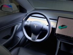 2019 Tesla Model 3 2019 StandardBattery lifeRWDUpgradeEdition EV #7