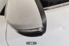 Left Exterior Mirror