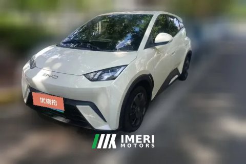 2023 BYD Seagull 2023 vitalityEdition