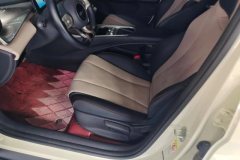 2024 BYD Dolphin 2025 420km vitalityEdition #9