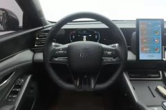 2025 BYD Qin L 2024 1.5L AT DM-i 80KMLeading #15