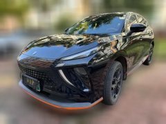 2024 Dongfeng Fengxing Dongfeng Fengxing Leiting 2023 430 Elite #1
