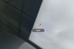 Windshield