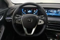 2021 Chang'an Eado 2020 1.6L AT PLUS Million Edition GDI Luxury #15