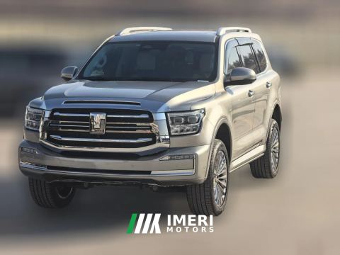 2025 Tank 500 New Energy 2024 Hi4-T 2.0T AT