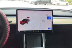 2020 Tesla Model 3 2020 StandardBattery lifeRWDUpgradeEdition #13
