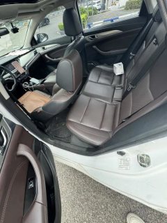 2020 Chang'an Eado EV 2019 EV460Smart Lead EV #2