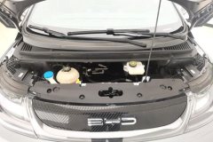 2022 BYD Dolphin 2021 405km Fashion #10