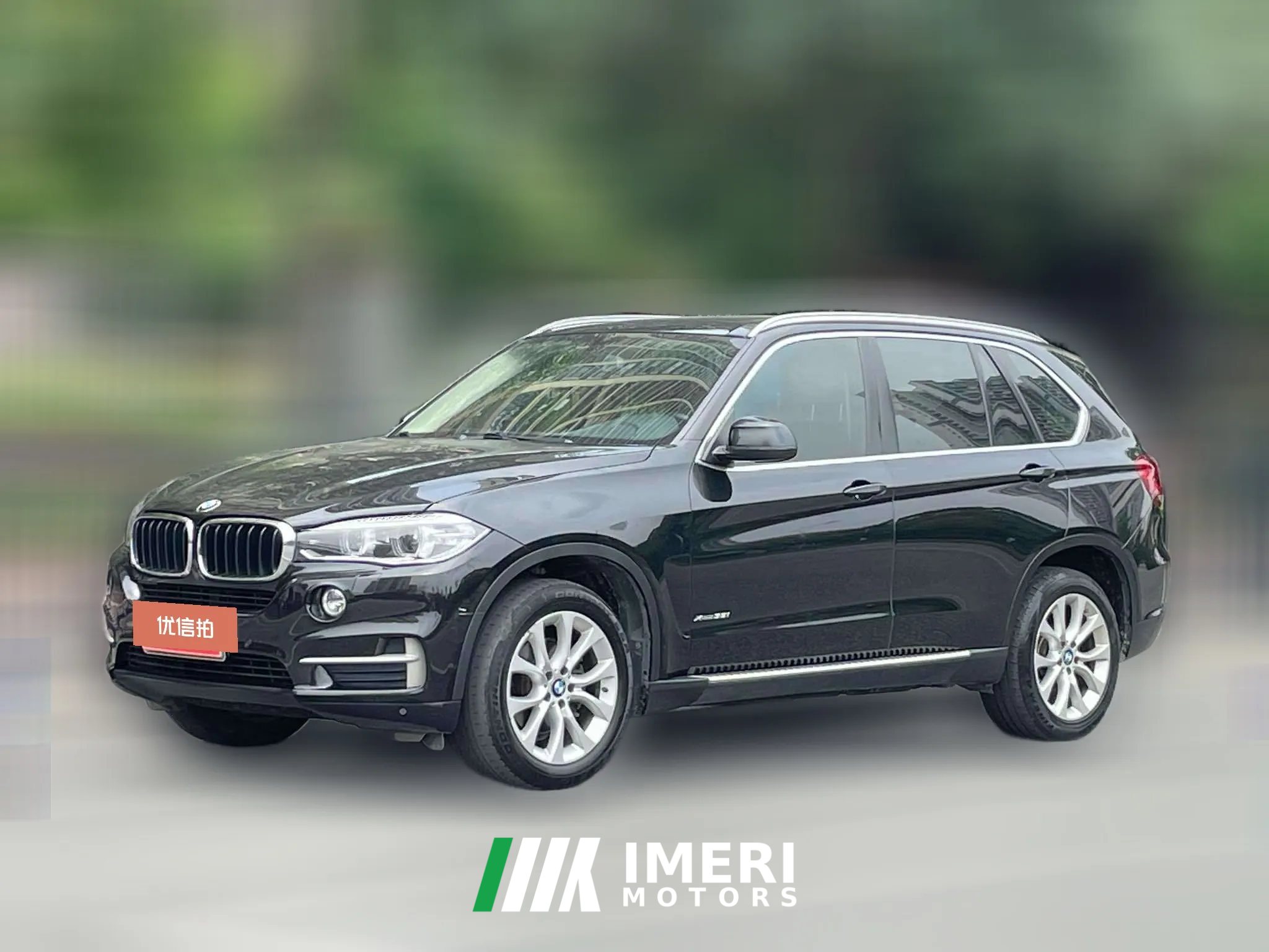 2015 BMW X5(Imported)(Imported) 2014 3.0T AT 35iLeading (Imported)