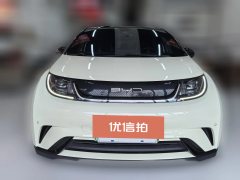 2024 BYD Dolphin 2024 Glory 420km Fashion #4