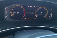 2022 Volkswagen Tayron 2022 2.0T AT 330TSI 2WDLuxurySmart Connect #14