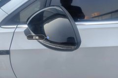 Left Exterior Mirror
