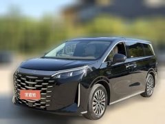 2025 BYD Xia 2025 DM-i 1.5T 100km Leading #1