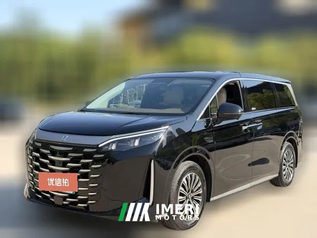 2025 BYD Xia 2025 DM-i 1.5T 100km Leading