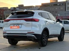 2023 Haval H6 2023 China tideEdition 1.5T AT Champion #9
