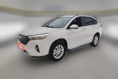 2021 Haval M6 2021 1.5T MT PLUSLuxurySmart Connect #1