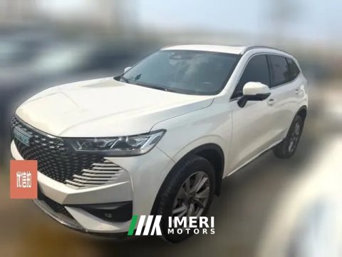 2023 Haval H6 PHEV 2023 1.5T AT DHT-PHEV 110KM YuexingEdition
