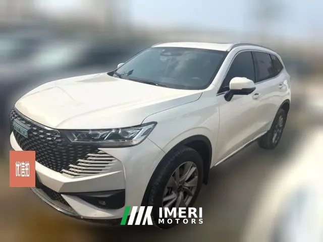 2023 Haval H6 PHEV 2023 1.5T AT DHT-PHEV 110KM YuexingEdition