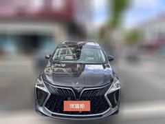 2022 Dongfeng Fengxing Fengxing Youting 2022 1.5T AT DCTChase the wavesEdition #2
