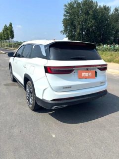 2024 Jetour Shanhai Jetour Shanhai L9 2024 1.5TD 2DHT Pro 7Seat #9